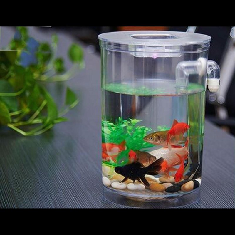 Ekologisk Cylindrisk Miniatyr Plast Vit Fish Tank Desktop Decor Fishing Kit