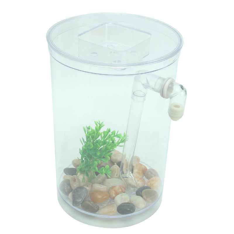 Ekologisk Cylindrisk Miniatyr Plast Vit Fish Tank Desktop Decor Fishing Kit