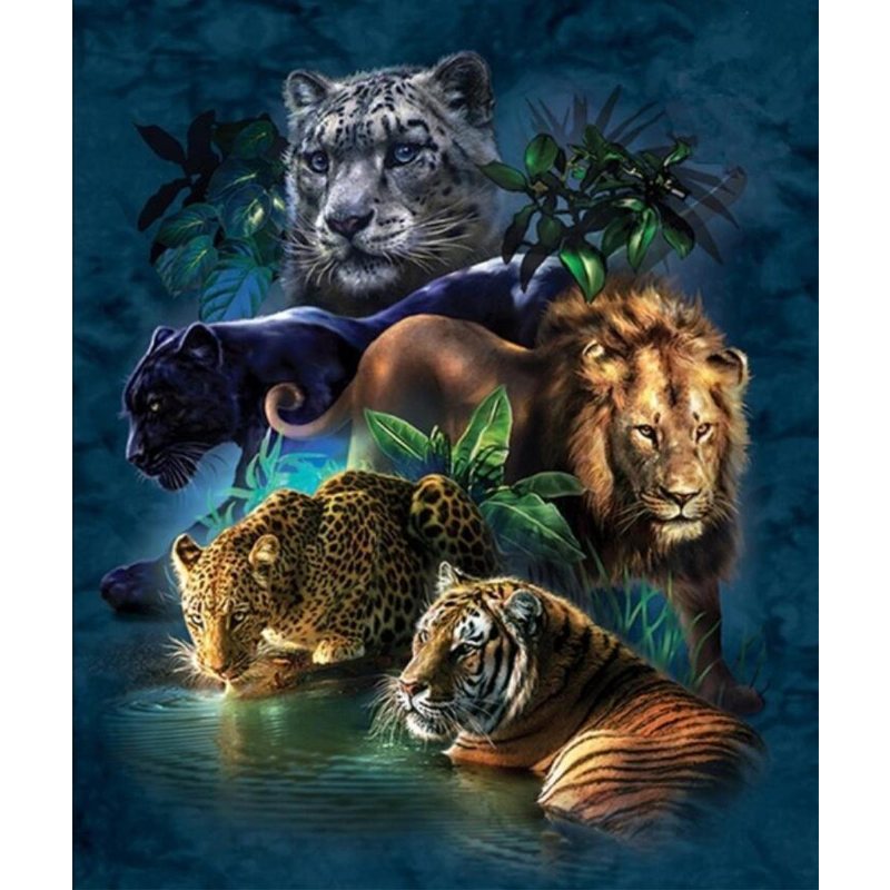 Gör-det-själv 5d-diamantmålningar Tiger Lion Broderi Cross Crafts Stitch Tool Kit