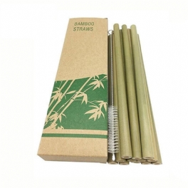 Naturliga Bambu Sugrör 10 St Set