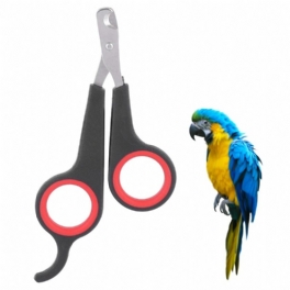 Fågel Nagelklippare Parrot Grooming Tool