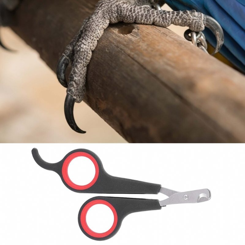 Fågel Nagelklippare Parrot Grooming Tool