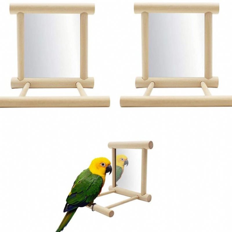 Parrot Bird Mirror Stand Abborrleksak