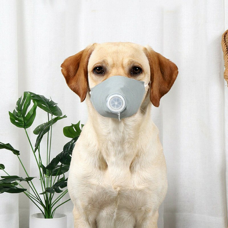 Doton Epidemic Supplies Hund Dammproof Haze Mask Skyddande Munskydd Husdjur S/m/l