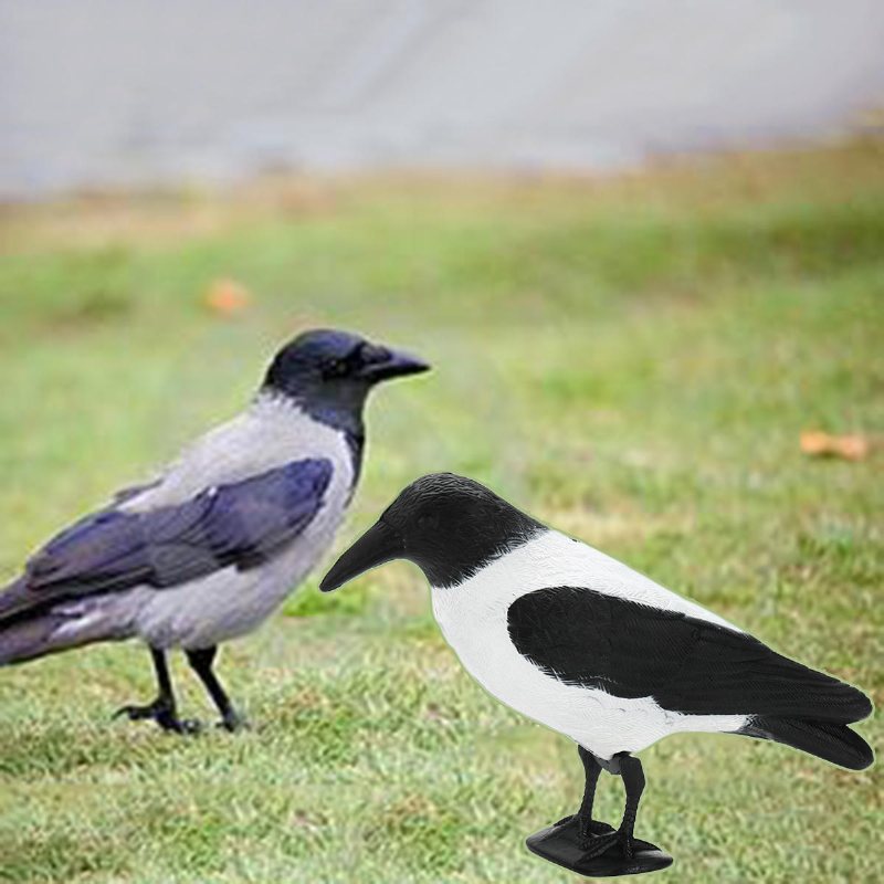 Kråkjakt Decoy Bird Avskräckande Skrämmare Utomhus Trädgård Jaktutrustning