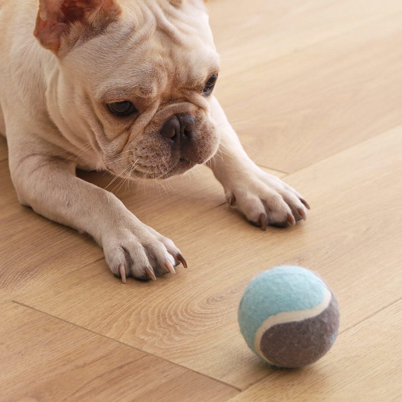 Pet Dog Tennis Chasing Training Roller Ball Leksaker Form