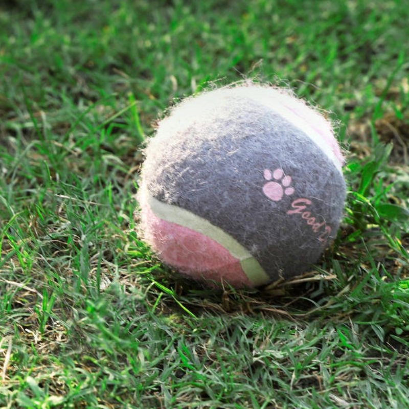 Pet Dog Tennis Chasing Training Roller Ball Leksaker Form