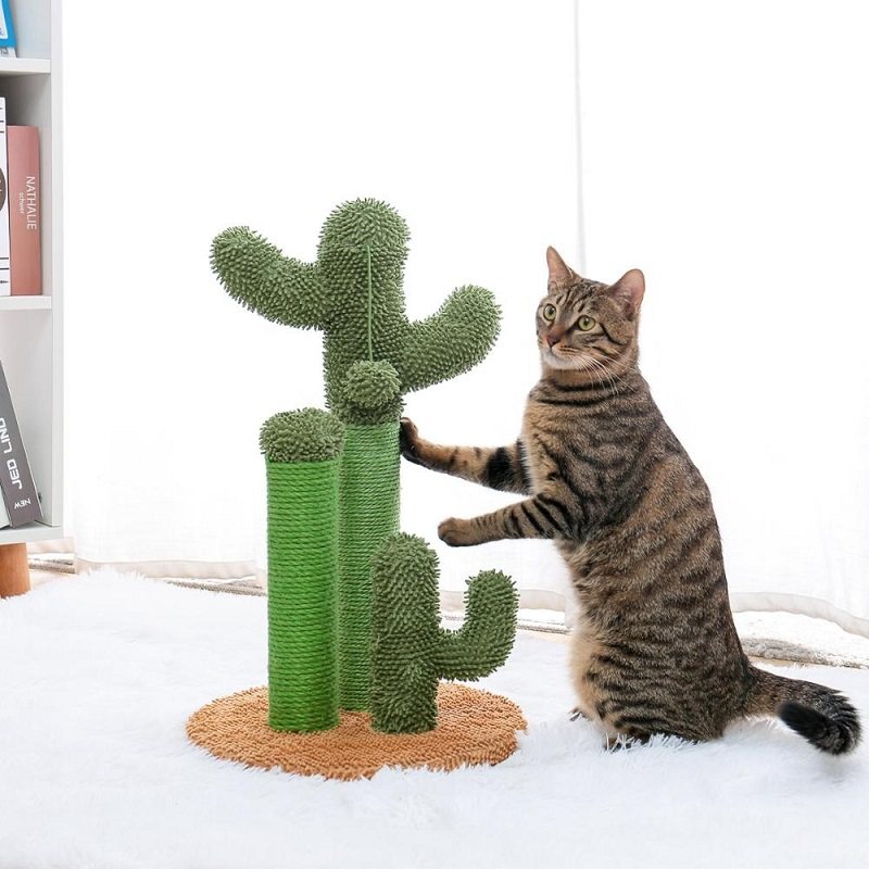 Katt Söt Kaktus Träd Med Boll Scratcher Stolpar Leksak