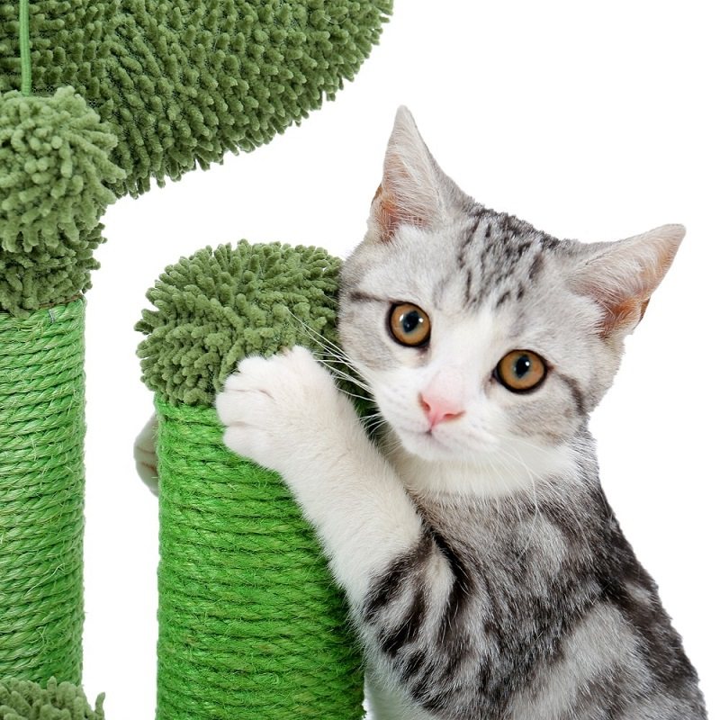 Katt Söt Kaktus Träd Med Boll Scratcher Stolpar Leksak