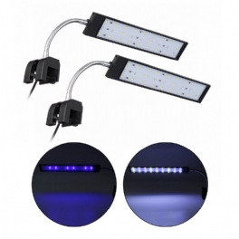 100-240v 10w Clip-on Led Aquarium Light Decoration Lighting Lampa Med Vita Och Blå Lysdioder Touch Control 2 Lägen