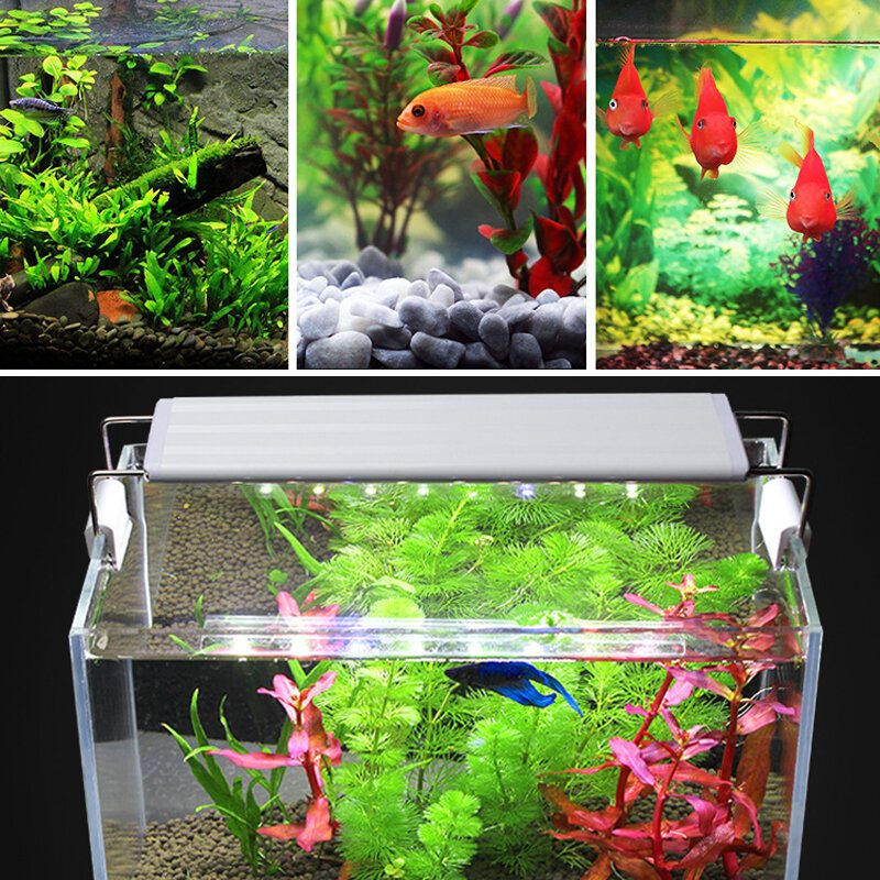 3/5/7/9w 220v Us-kontakt Fish Tank Lamp Led Energisnål Blå+vit Ljuslinjebrytare