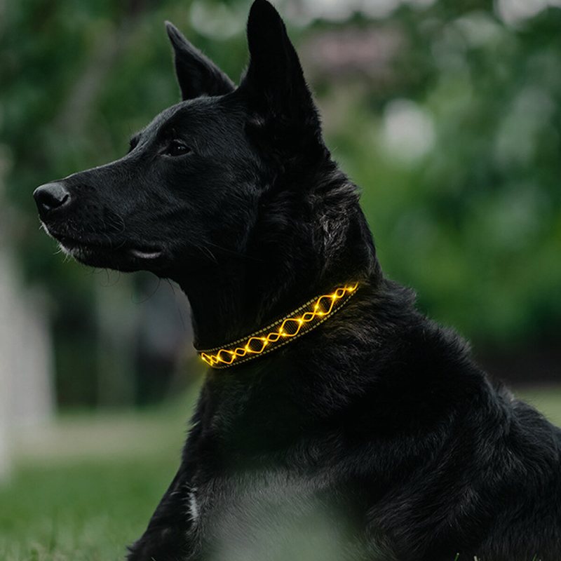 Led Hundhalsband För Hundar Blinkande Ljusande Säkerhet Nattljus Justerbar