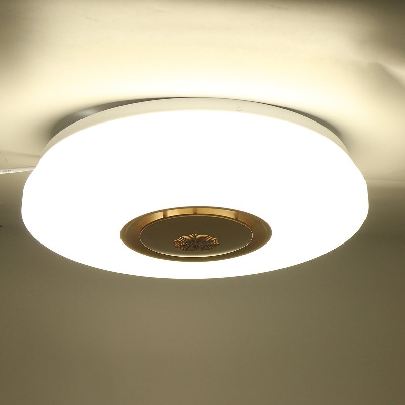 Led Taklampa Dimbar App Kontroll 85-265v Brandvarnare Modern Minimalistisk Akryl Rund Belysning Vardagsrumslampa Sovrum Arbetsrum Hembelysning Lampa