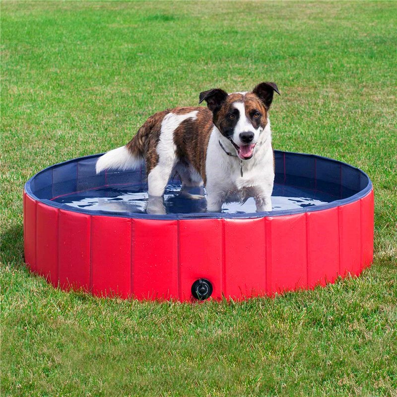 120*30 cm Pvc-pool För Sällskapsdjur Hopfällbar Hundbadkar Utomhus Bärbart Paddlingsbad Katt Hundrengöringstillbehör