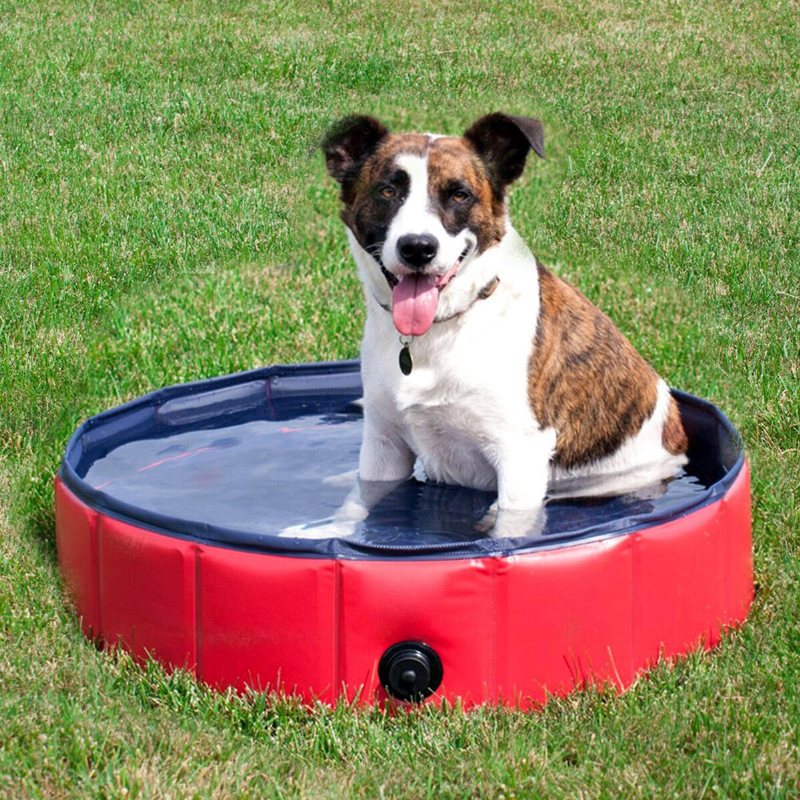 160*30 cm Pvc-badkar För Husdjur Pool Hund Katt Djurbadkar Tvättkar Vikbar Portabel