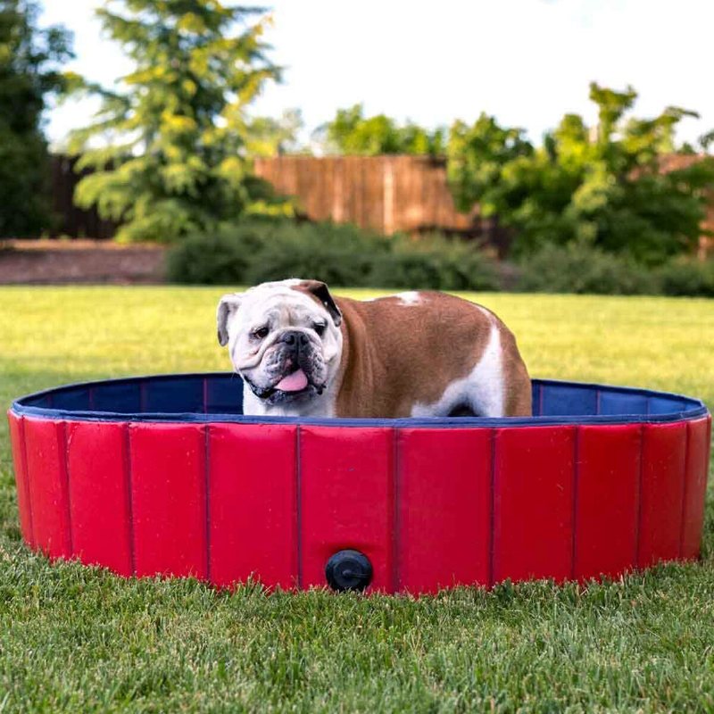 160 cm Hopfällbart Husdjursbad Pool Hopfällbar Hundpool Husdjursbadkar Barnpool För Hundar Katter Och Barn