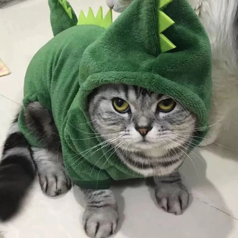 Cat Dinosaur Costume Warm Plysch Hoodie