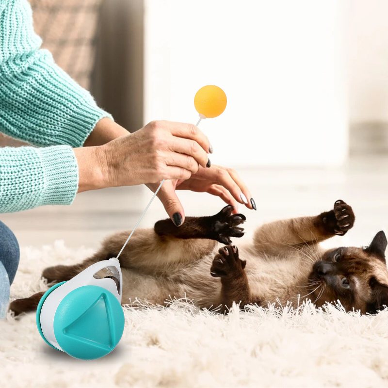 Cat Toy 360° Tumbler Självsnurrande Leksak Med Kattmynta Boll Intressant Interaktiv För Valp Och Hund