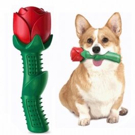 Dog Chew Toy Rose Shaped Stick Rengöring Tandborste Toy