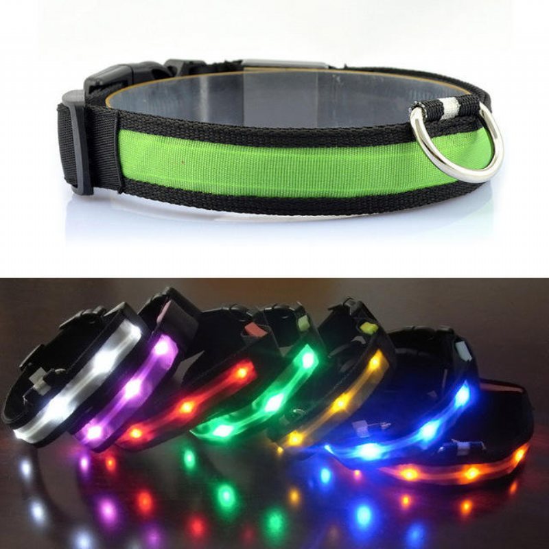 Focuspet Utomhus Nylon Led Hundhalsband Nattsäkerhet Anti-förlorade Blinkande Glödhalsband Tillbehör Kopplar