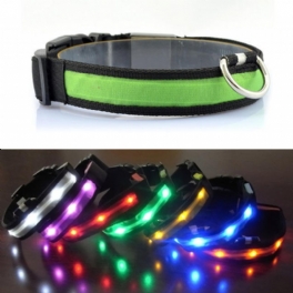 Focuspet Utomhus Nylon Led Hundhalsband Nattsäkerhet Anti-förlorade Blinkande Glödhalsband Tillbehör Kopplar