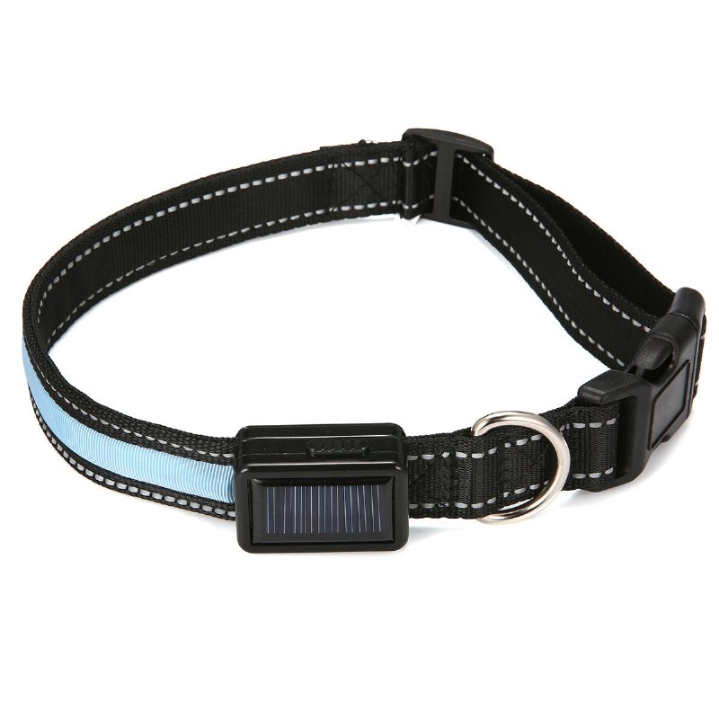 Focuspet Utomhus Nylon Led Hundhalsband Nattsäkerhet Anti-förlorade Blinkande Glödhalsband Tillbehör Kopplar