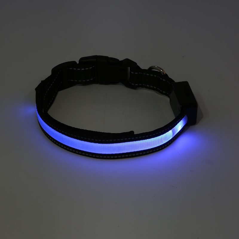 Focuspet Utomhus Nylon Led Hundhalsband Nattsäkerhet Anti-förlorade Blinkande Glödhalsband Tillbehör Kopplar