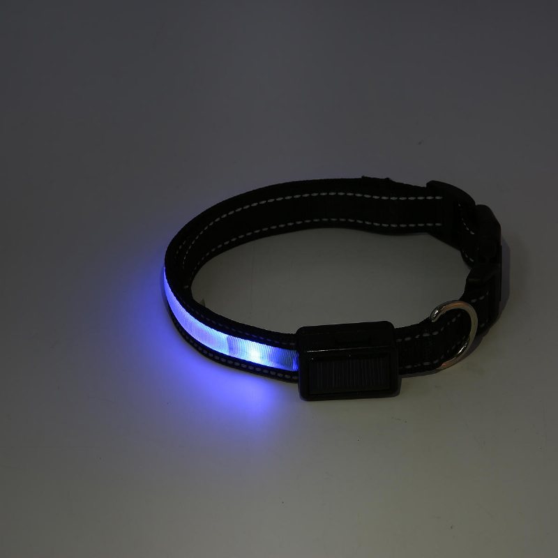 Focuspet Utomhus Nylon Led Hundhalsband Nattsäkerhet Anti-förlorade Blinkande Glödhalsband Tillbehör Kopplar