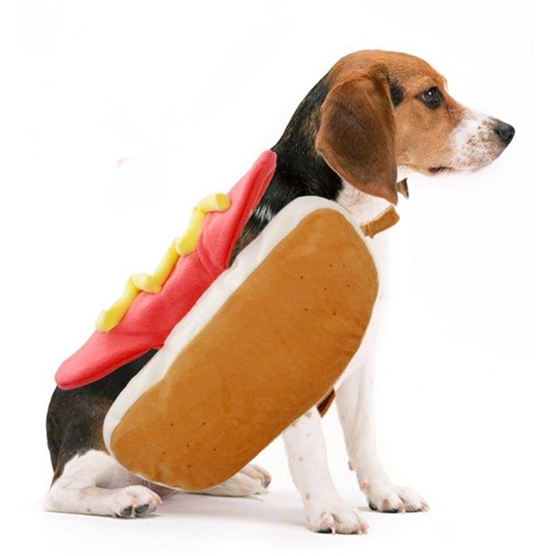 Hot Dog Husdjur Hundar Dräkt Kläder Söt Katt Valp Outfit