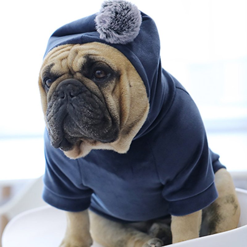 Hund Vinterkläder Varm Hoodie