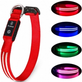 Husdjur Led-blinkande Hundhalsband Usb Justerbart Koppel