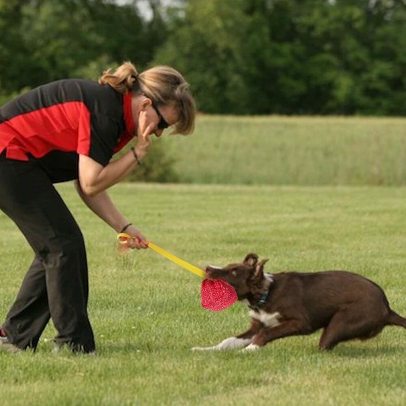 Interaktiv Hundbollsdragleksak