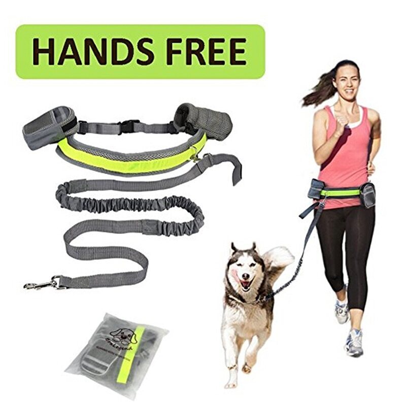 Multifunktionellt Elastiskt Bälte Running Dog Leash Hands Free Halsband