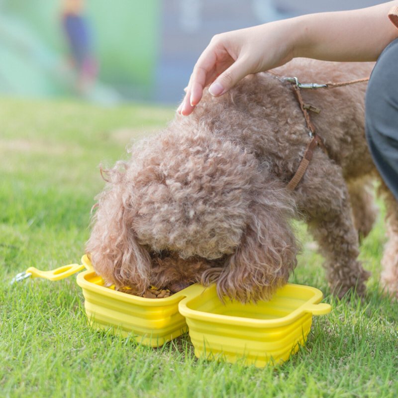 Pet Folding Bowl Hund Tillbehör Katt Valp Fällbar Bär Resematare Dricka