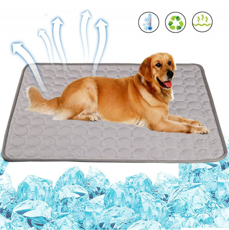 Pet Kylmatta Andas Pet Pad