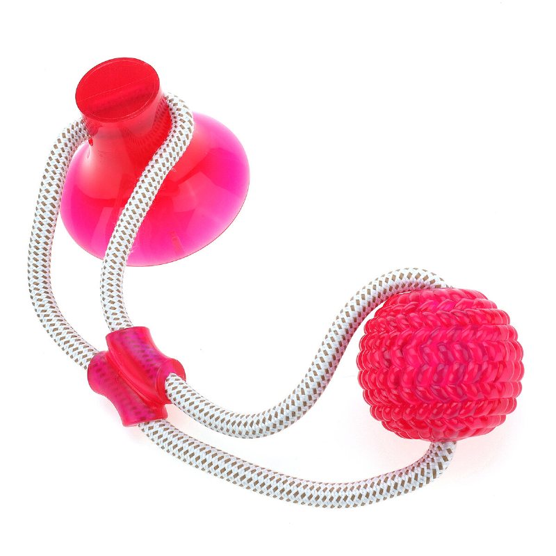 Pet Molar Bite Toy Sugkopp Gummiboll Hund Tuggleksaker Interaktiv Valp Training Rep Drag Rope Ball Självspelande Rengöringständer Multifunktion För Hundvalp