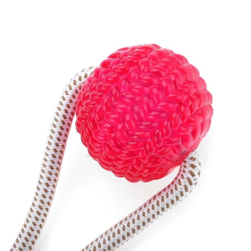 Pet Molar Bite Toy Sugkopp Gummiboll Hund Tuggleksaker Interaktiv Valp Training Rep Drag Rope Ball Självspelande Rengöringständer Multifunktion För Hundvalp