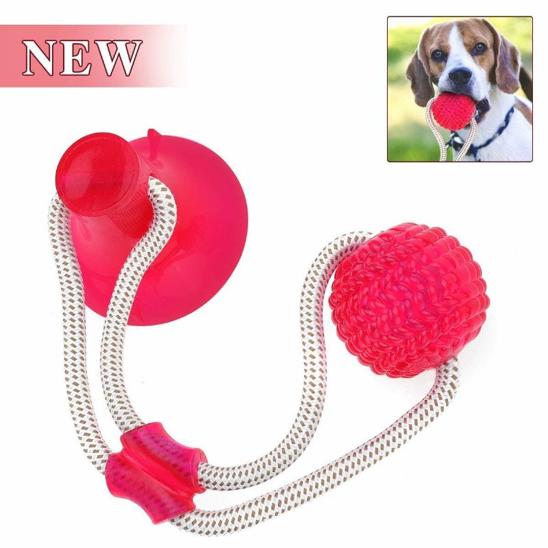 Pet Molar Bite Toy Sugkopp Gummiboll Hund Tuggleksaker Interaktiv Valp Training Rep Drag Rope Ball Självspelande Rengöringständer Multifunktion För Hundvalp