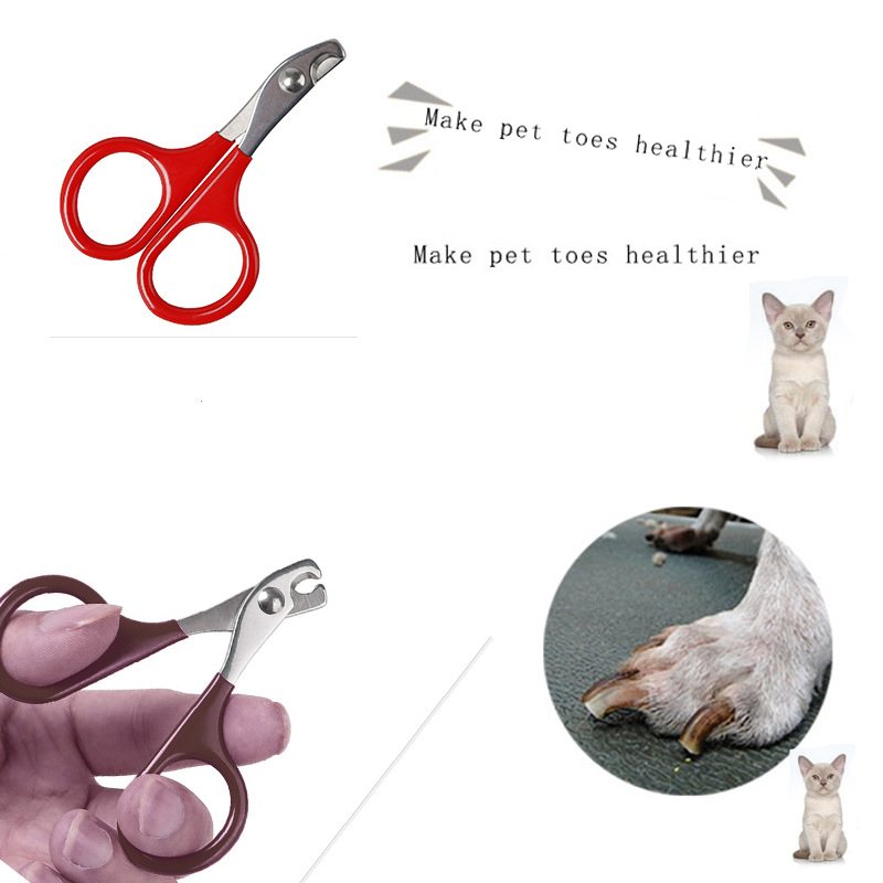 Pet Nagelklippare Pet Trimmer Hund Och Katt