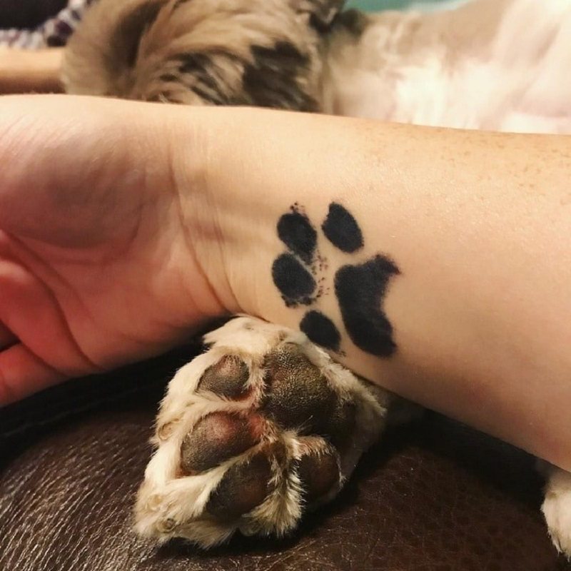 Pet Paw Prints Bläckdyna Säker Giftfri Långvarig Souvenir