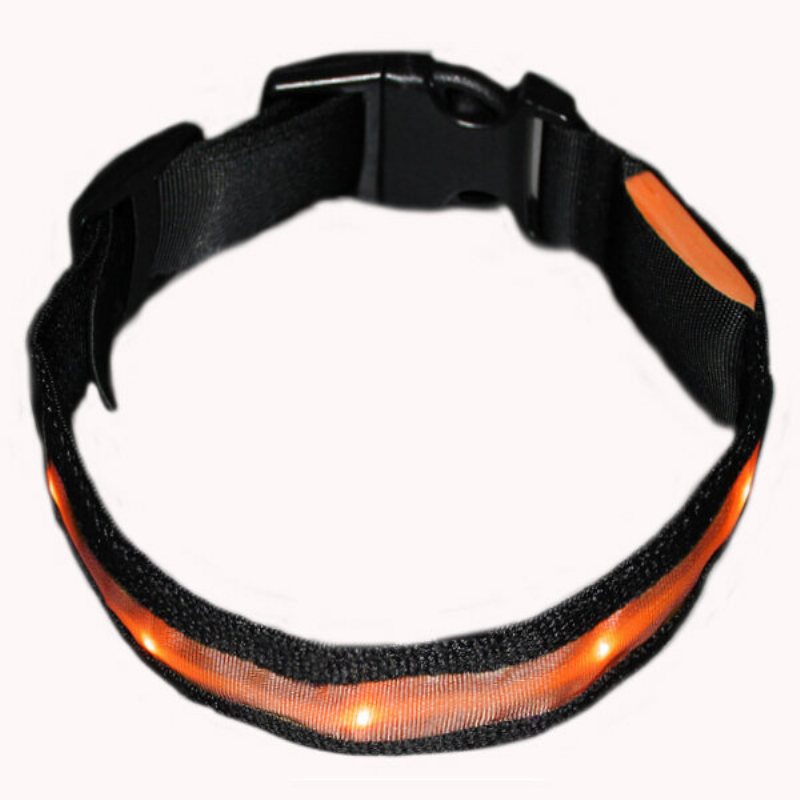 Storlek L Nylon Säkerhetsblinkande Glow Light Led Hundhalsband För Hundar