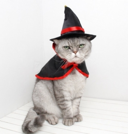 Halloween Dräkt Husdjur Katt Liten Hund Vampyr Hatt Cape Cloak Cosplay Fancy Dress Kostym För Dekoration