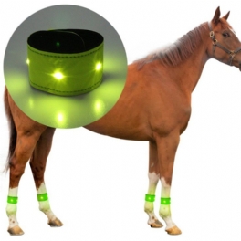 Led Luminous Horse Benskydd Ankelrem