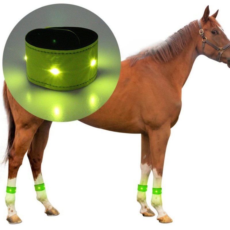 Led Luminous Horse Benskydd Ankelrem